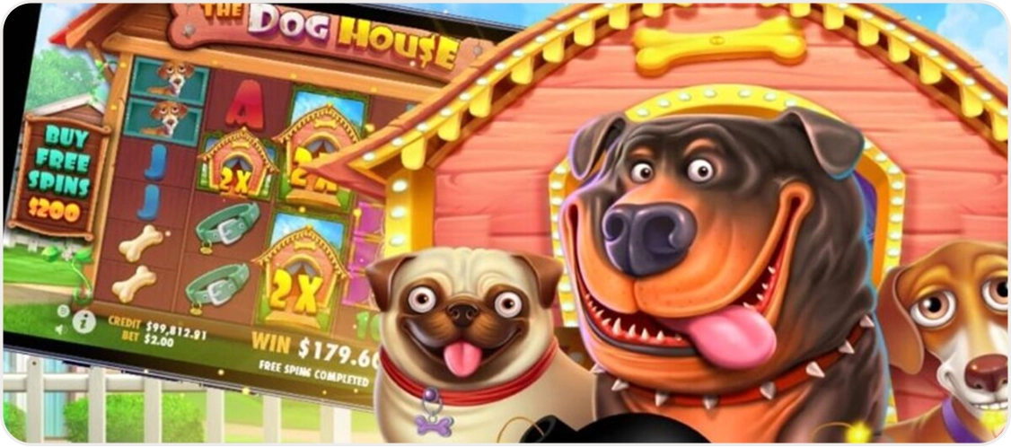 Dog House Megaways | Mobile Compatibility — Play via App Anywhere