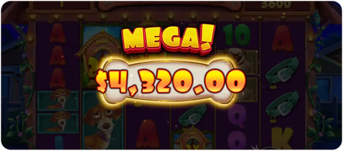 Dog House Megaways | Ο αγαπημένος σας κουλοχέρης στην τσέπη σας – Ξεκινήστε από το κινητό