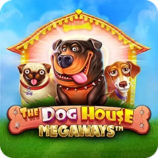 The Dog House slot game with playful dogs